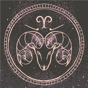 Meet your Posher, Leonardo